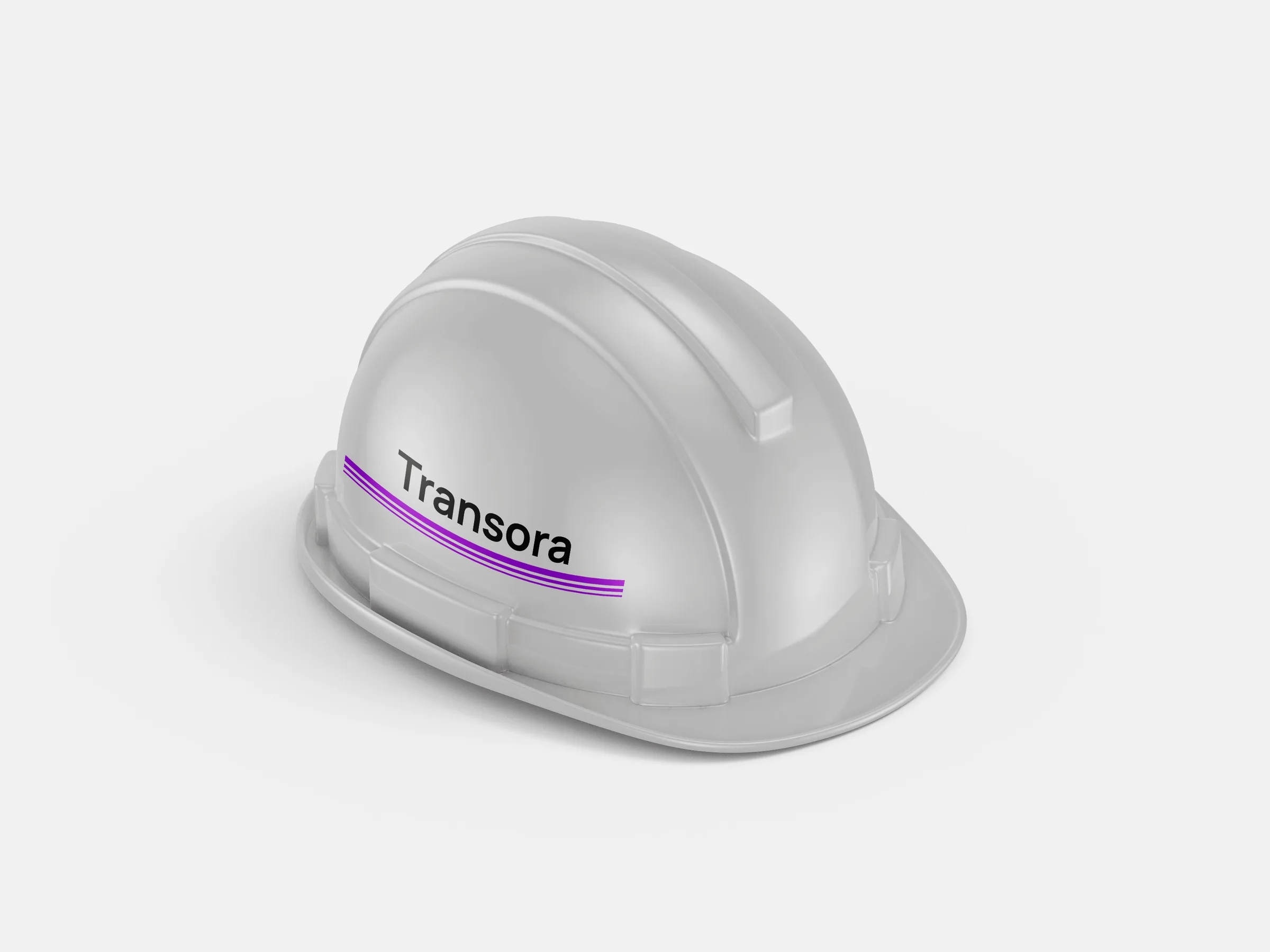 Transora brand identity — Workinghat