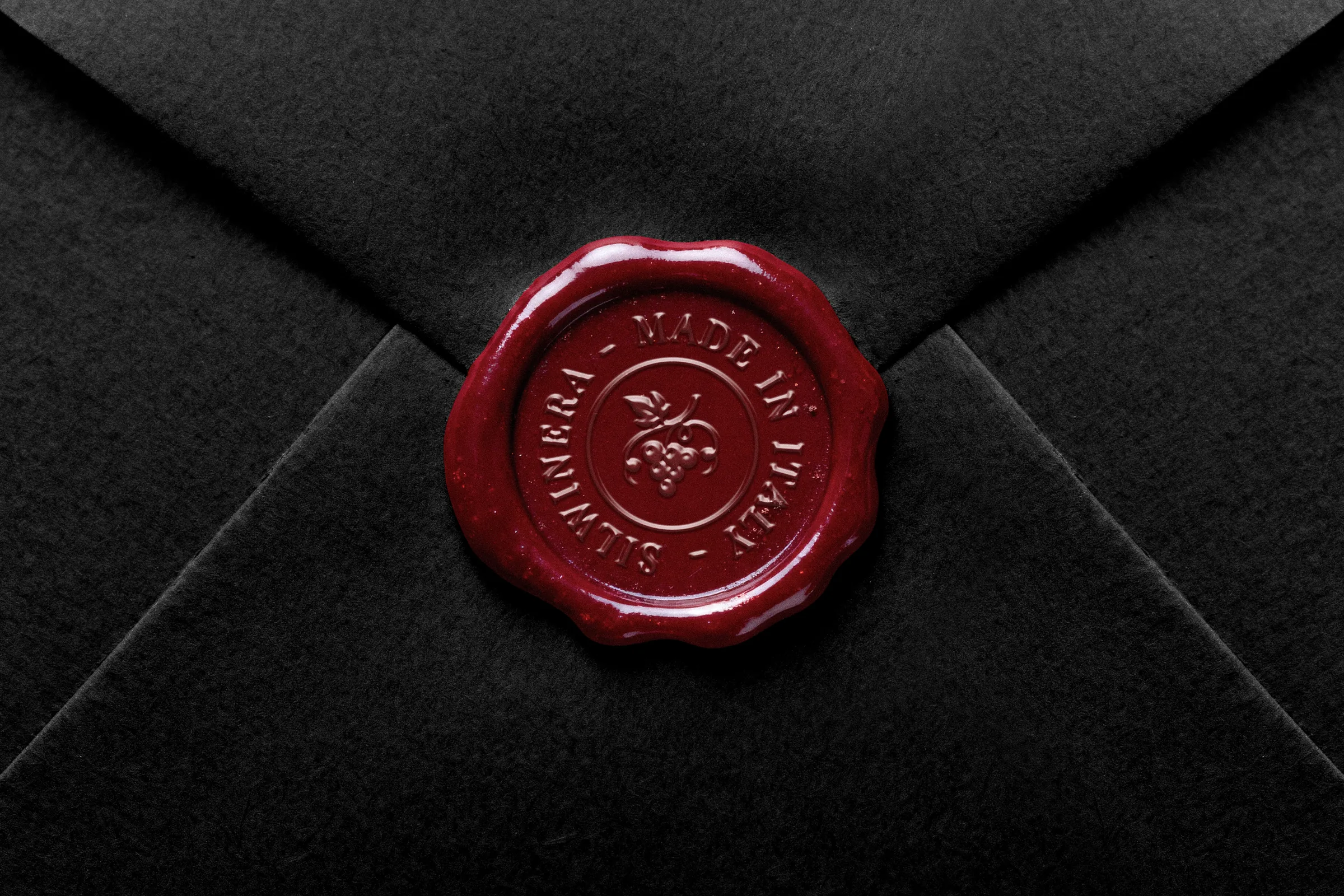 Silvinera brand identity — Letter