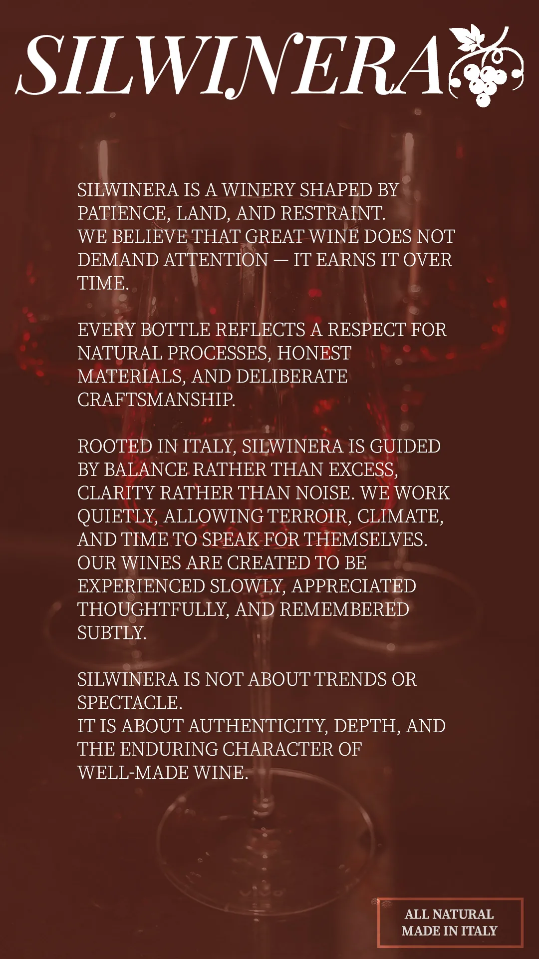 Silvinera brand identity — Silwineratekstas